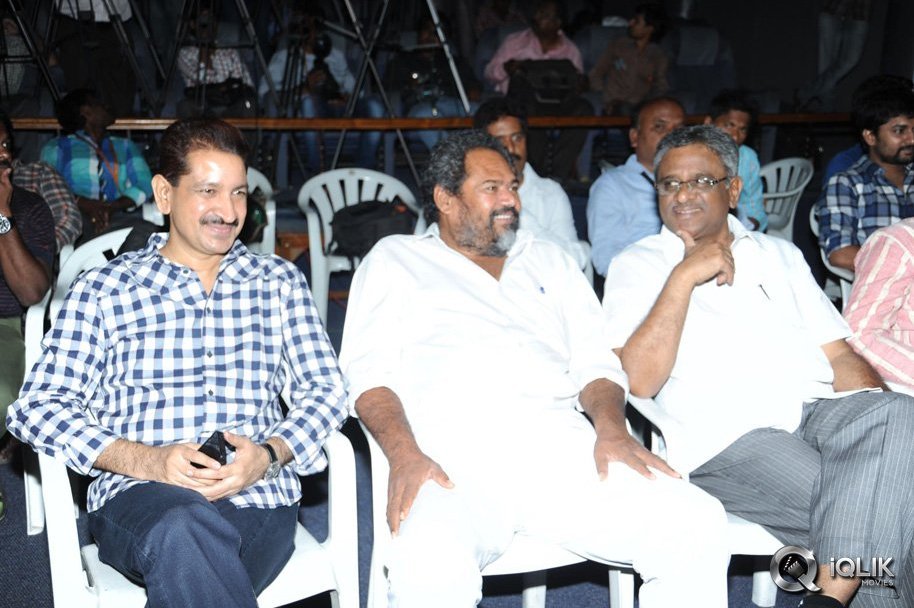 Prathinidhi-Movie-Platinum-Disc-Function